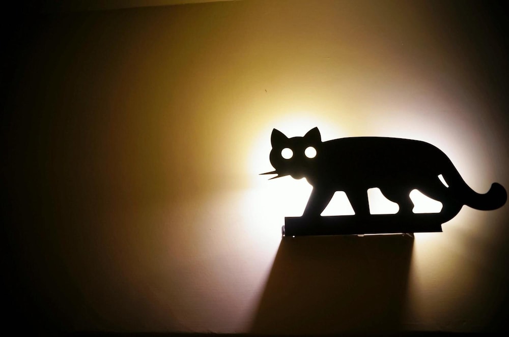 Smokey Cat B&B