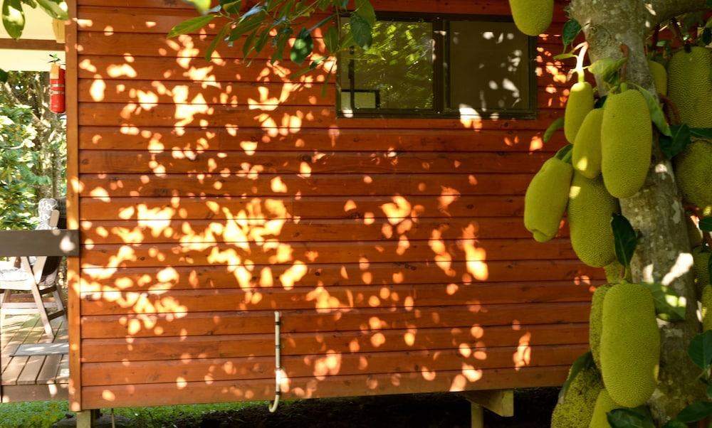 Cape Trib Farmstay