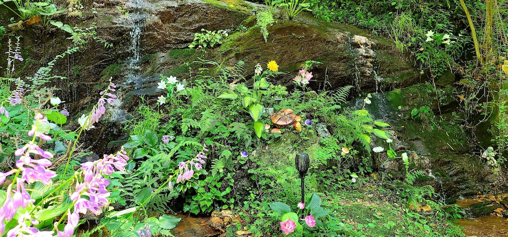 Bear Creek Lodge and Cabins in Helen Ga - Pet Friendly, River on Property, Walking Distance to downtown Helen