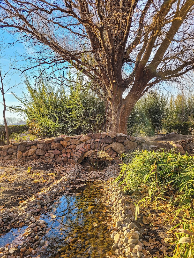 Finca La Saucina