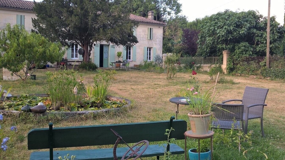 Photo 11