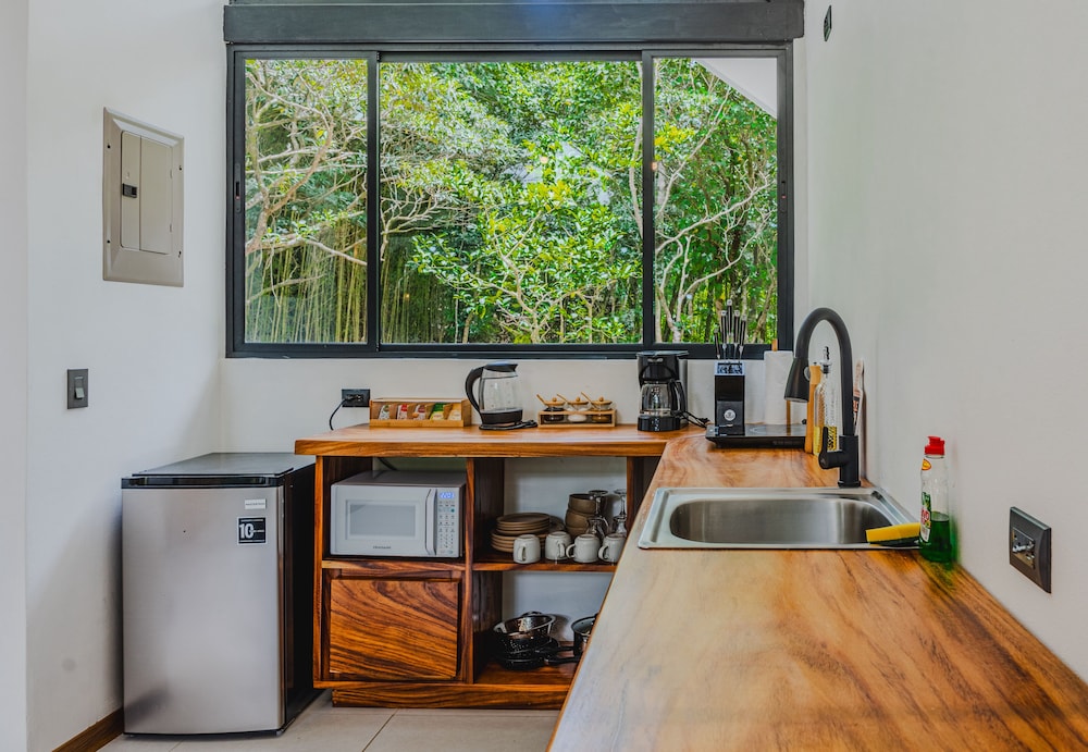 Floresta Monteverde