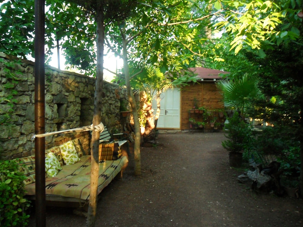 Photo 11