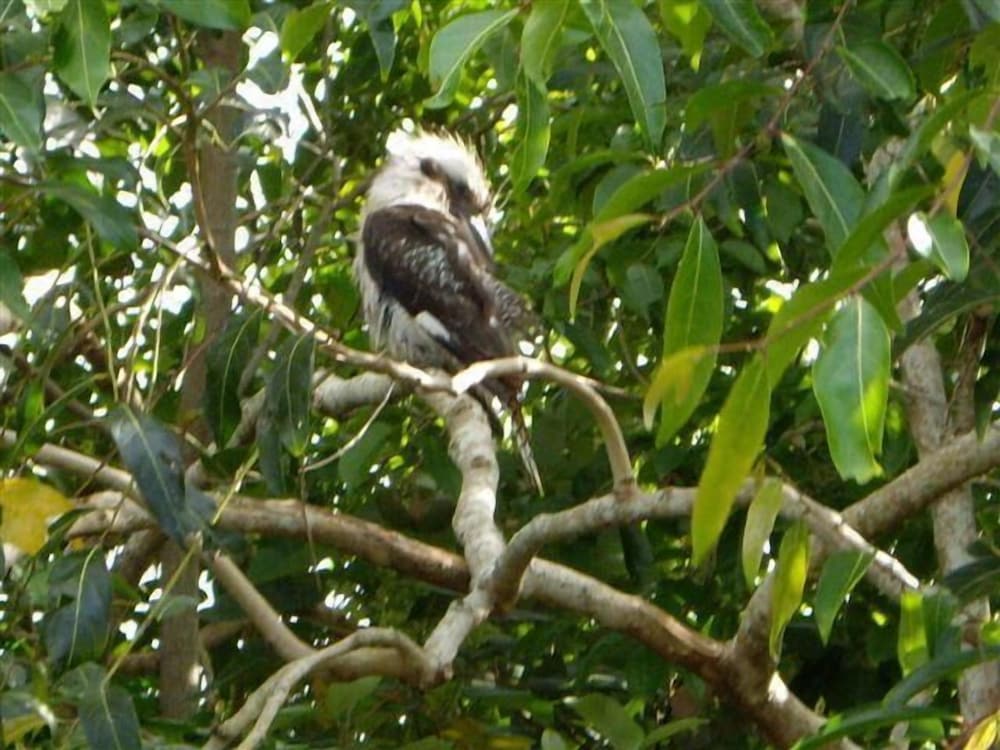 Urangan Vacations - Barooga On Pier - Property Image 12