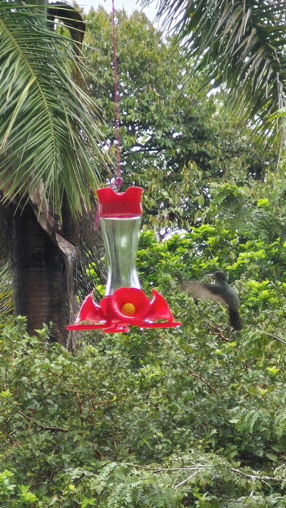 Villa Pura Vida - Marañon