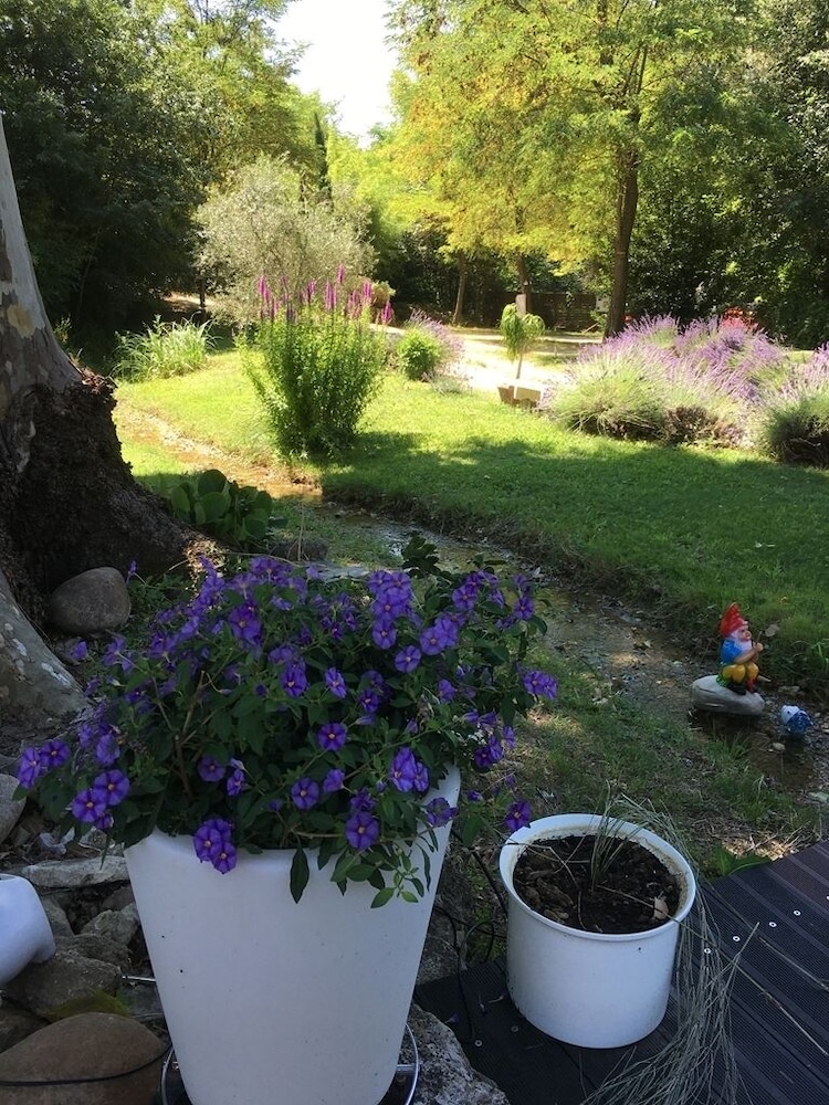 Le Mas aux Arômes view 5