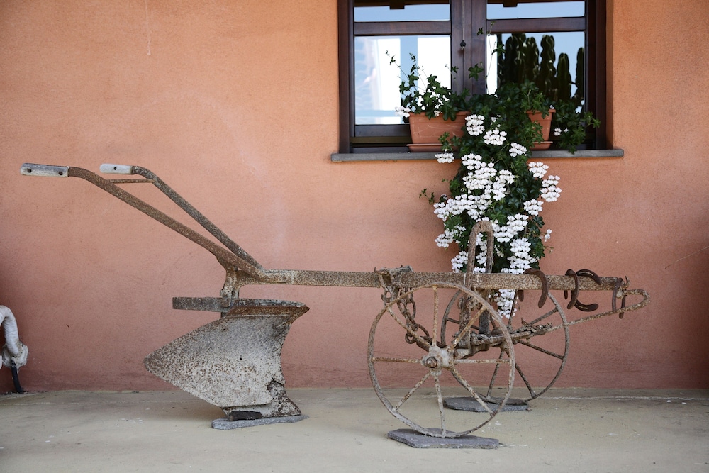 Photo 41