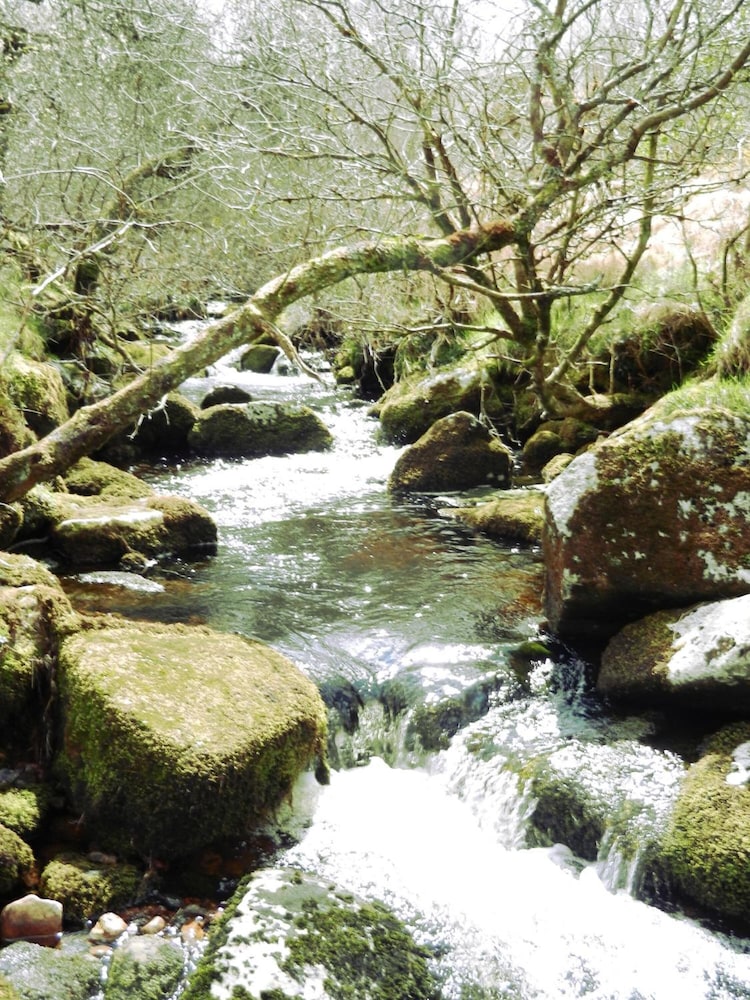 Yelverton Vacations - Overcombe House - Property Image 11