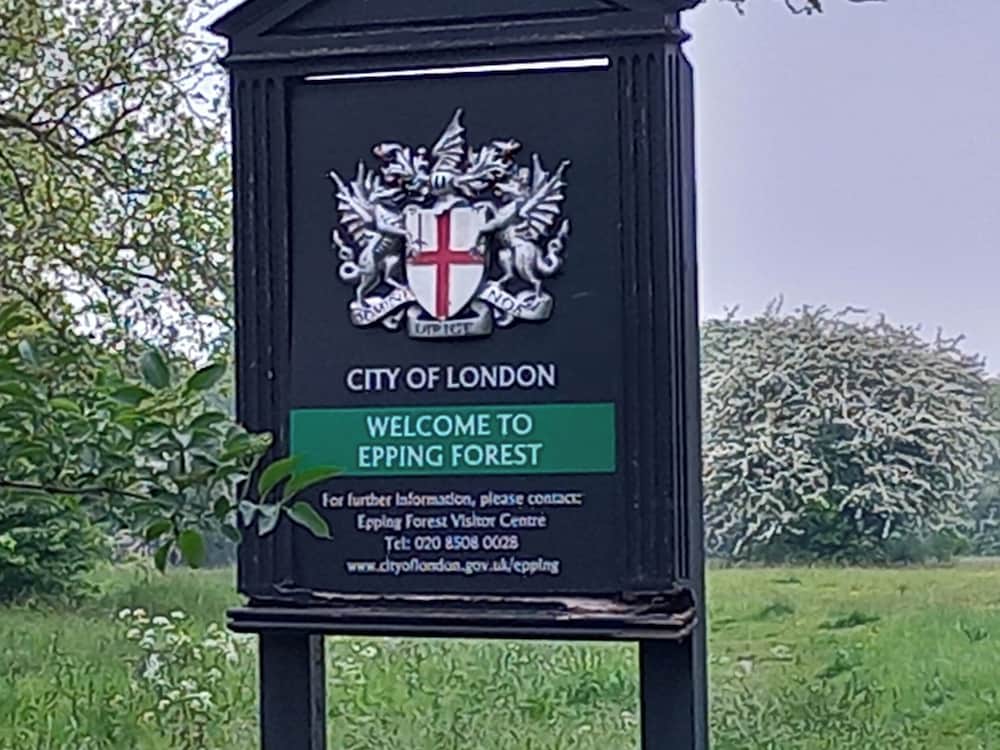 Lovely 1-bed Apartment in the City of London