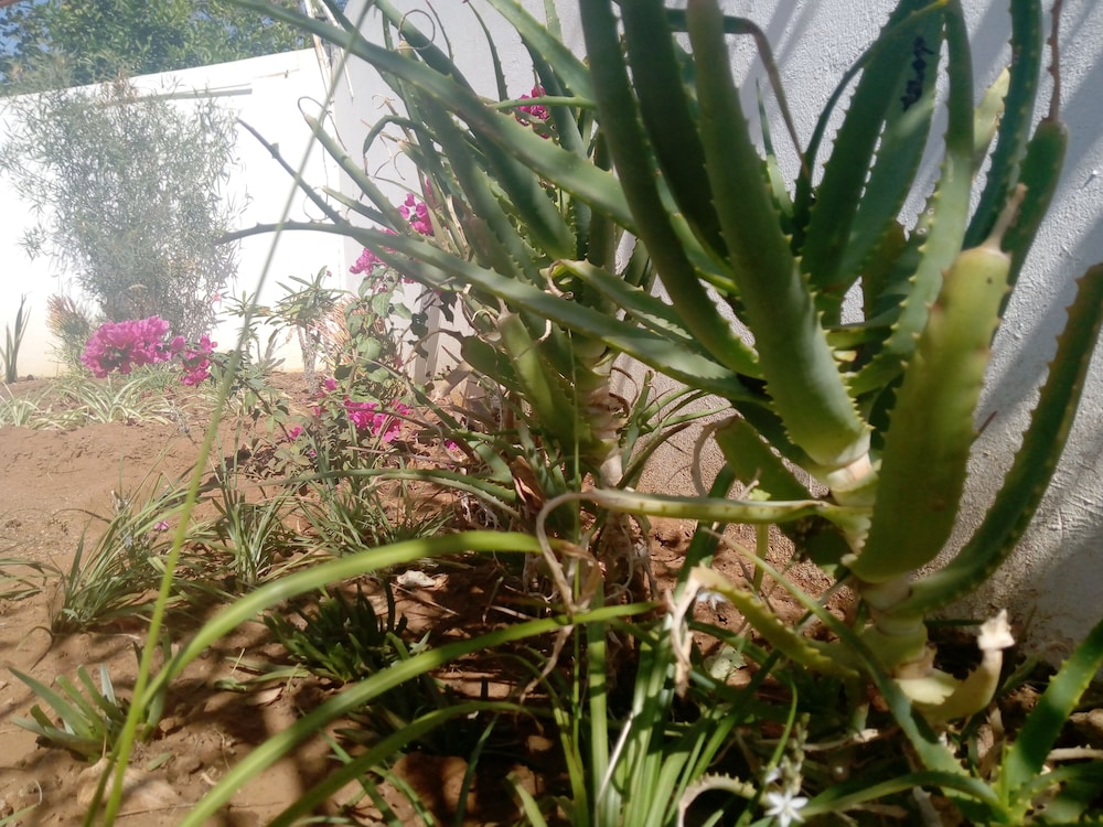 Photo 21