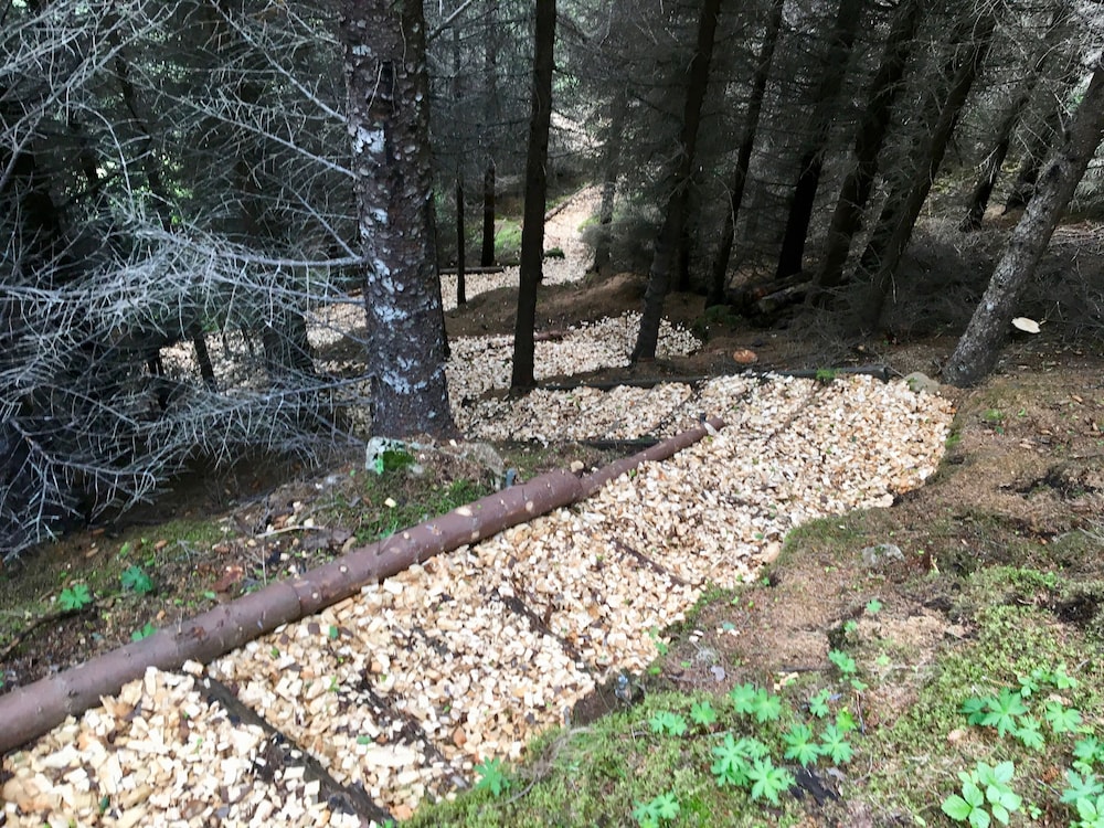 Photo 43