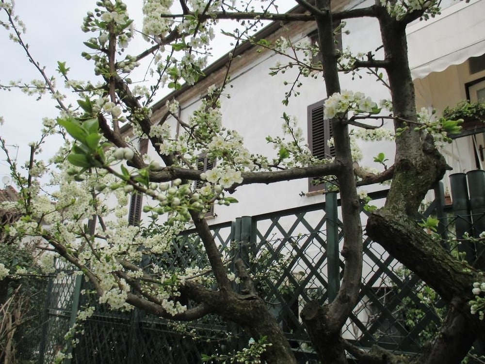 Dimora e Arte - B&B, Bilde 14
