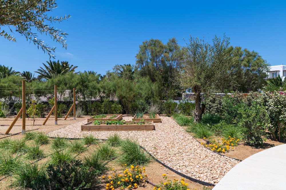 Ammilia Villa Naxos
