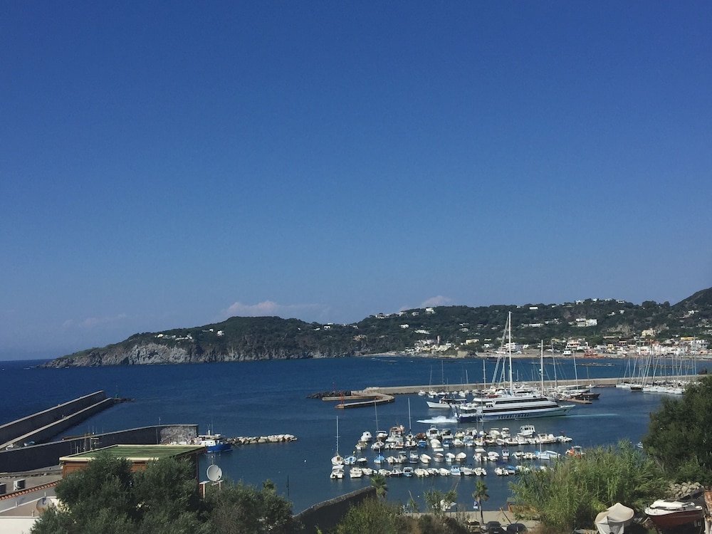 Harbour View
