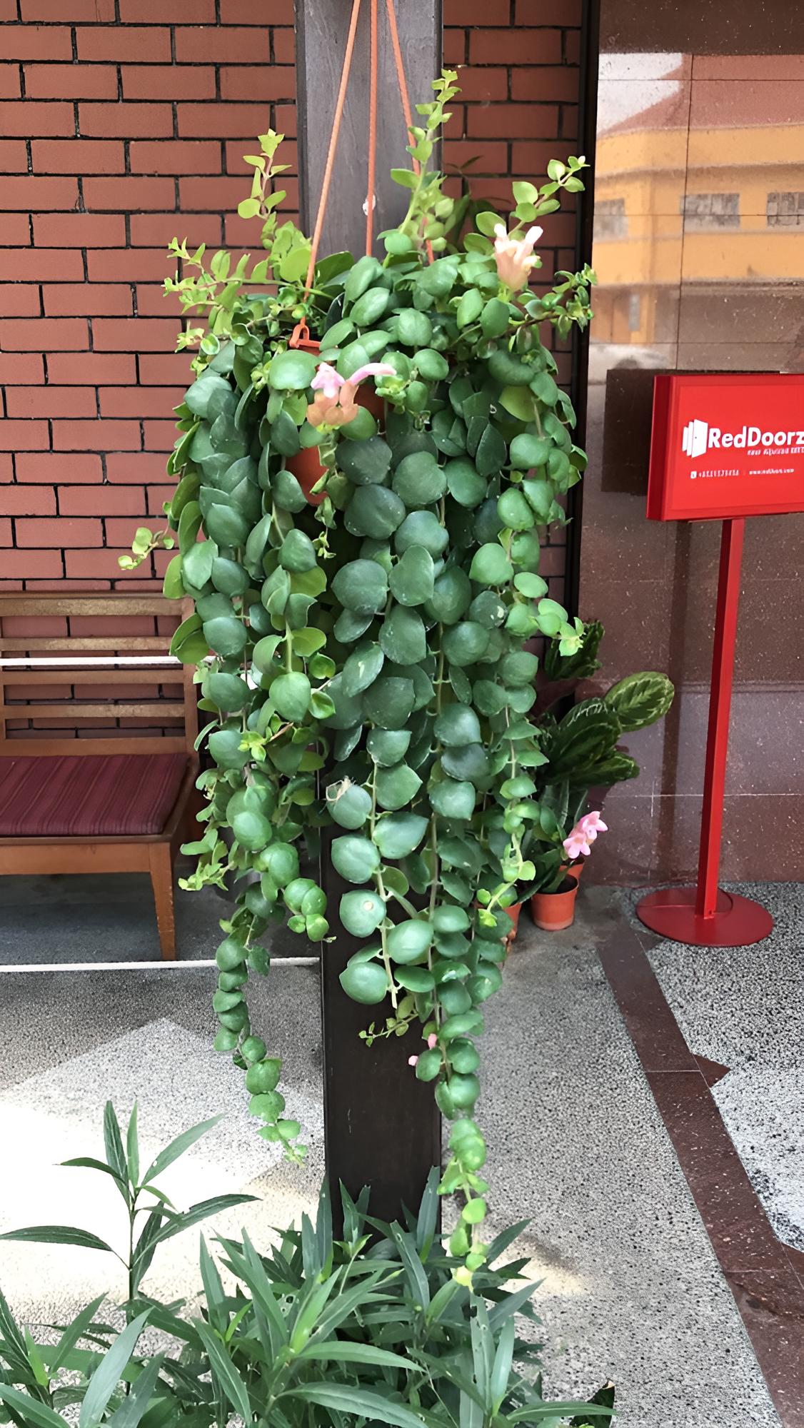 Lai Ming Hotel