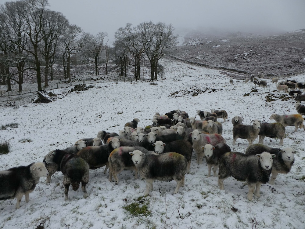 Marsh Garth