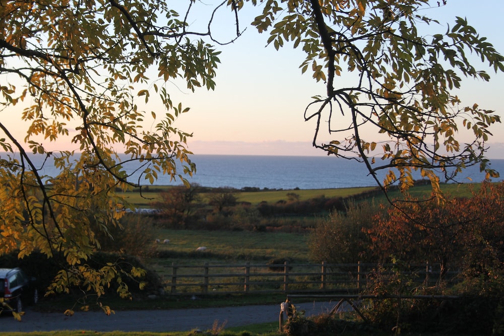 Bryn Eisteddfod B&B