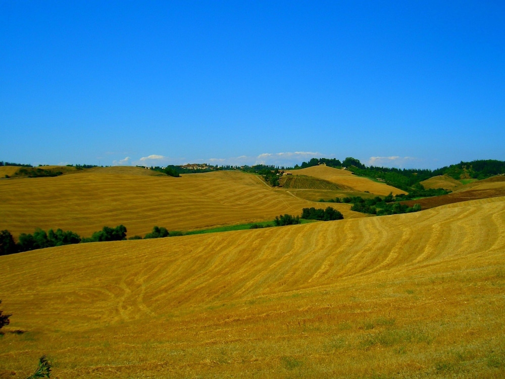 Cosy Agriturismo in Toscana With Outdoor Swimming Pool view 2