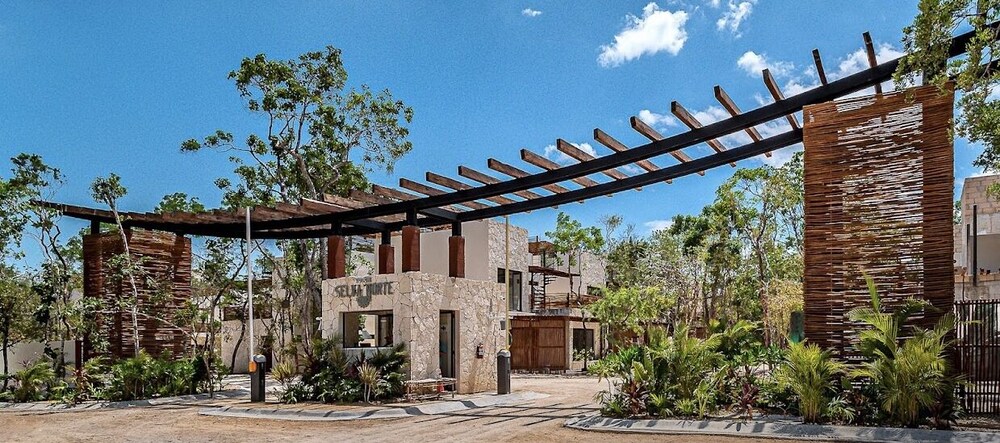 Selva norte Tulum view 5