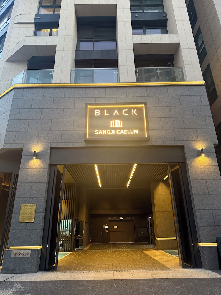 Caelum Black Gangnam Luxury Apt
