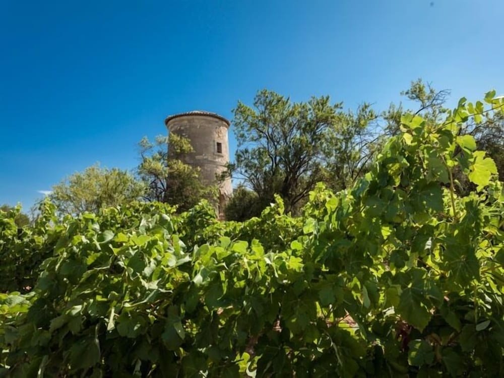 Gîtes Pech-céleyran, photo 45