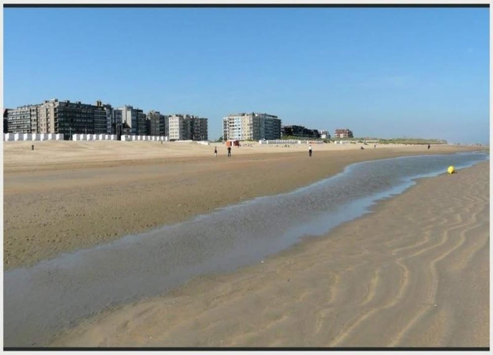 Penthouse in De Haan With Sea View