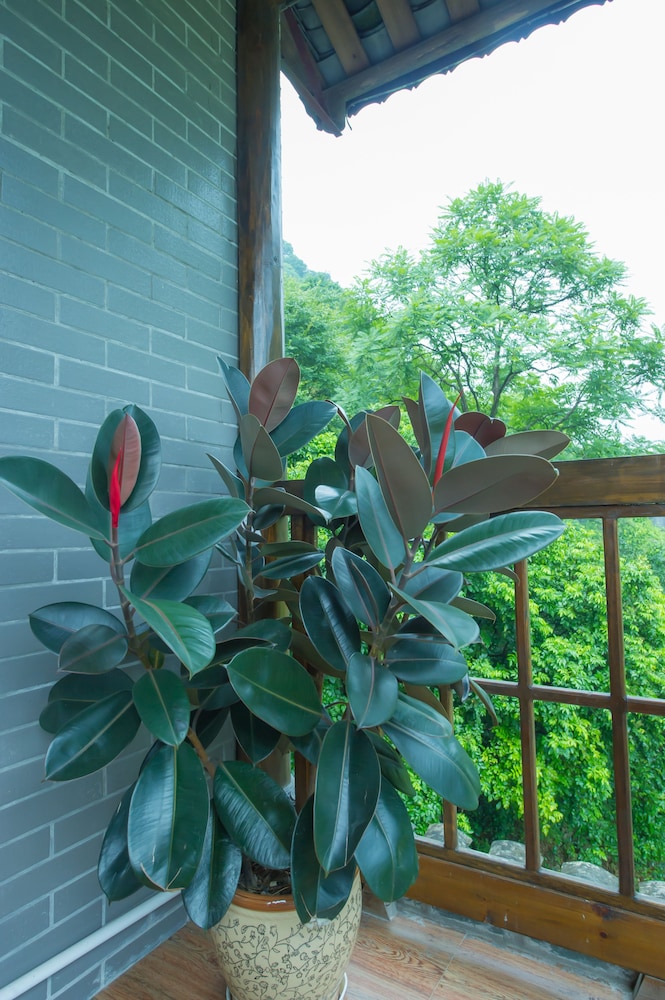 Yangshuo Scenic Mountain Retreat