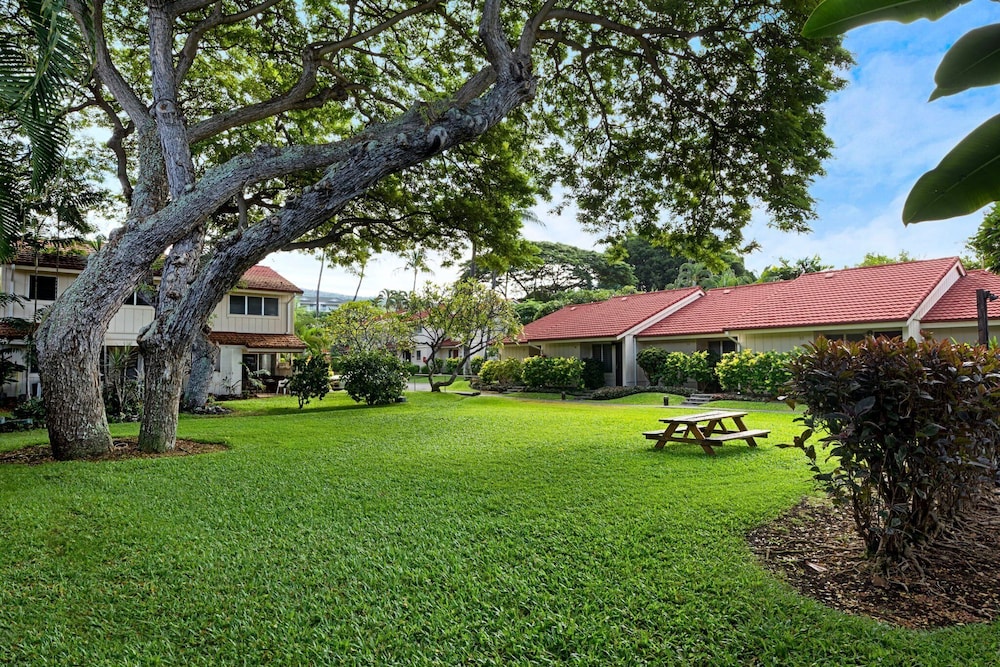 Steps From Lanai to Beach - AC & Wifi - Affordable- Vrkcv