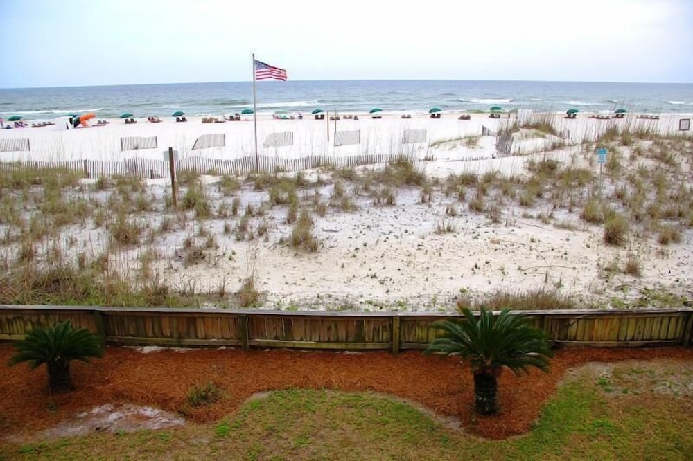 Palm Beach C21