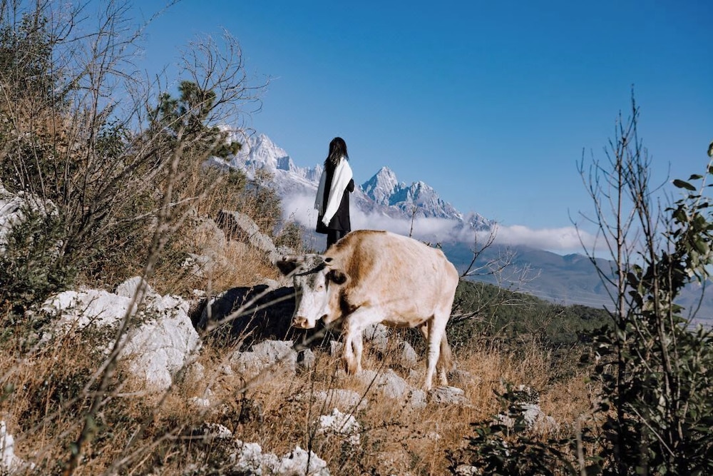 lijiangluxianbaomimihuayuankezhan