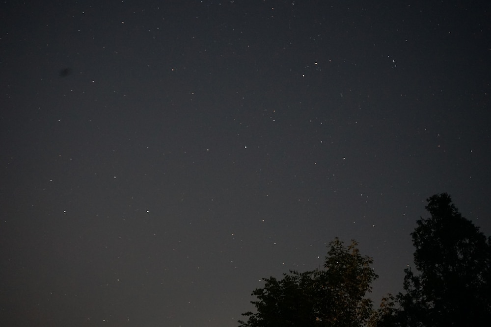Photo 45