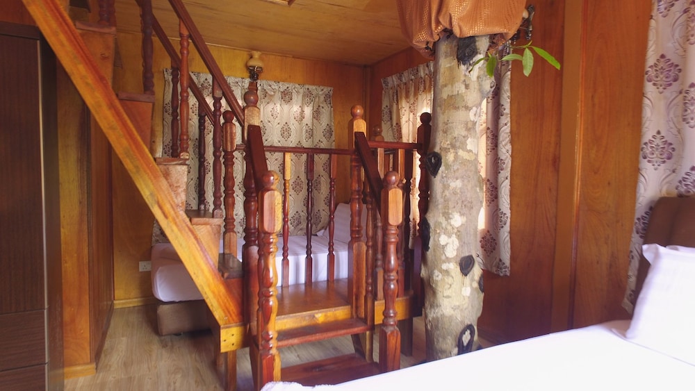 Borneo Tree House photo 7