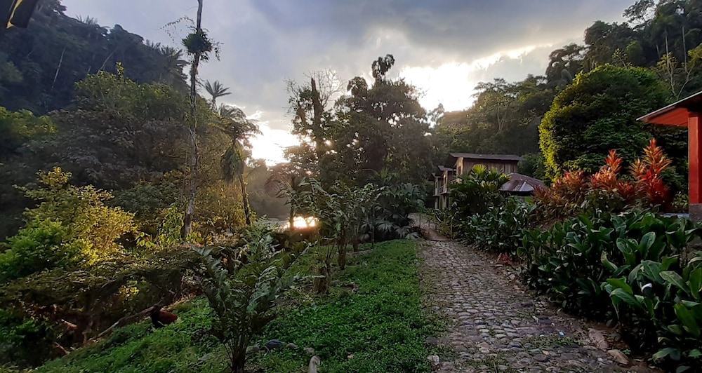 Playa Selva Lodge