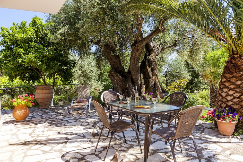 Ipsos Panoramic Views By Konnect photo 4