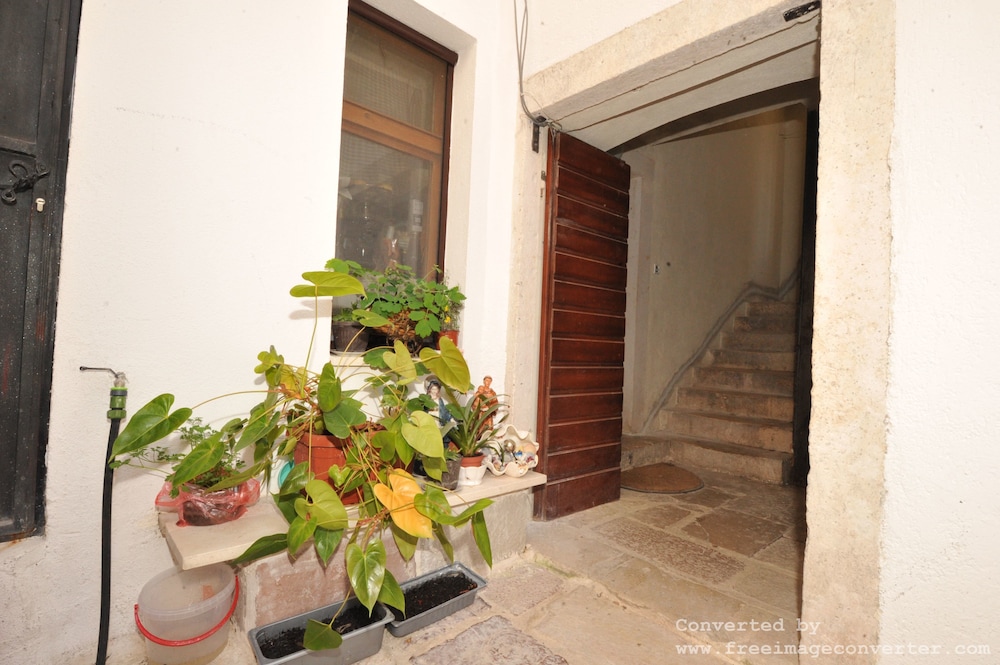 Photo 37