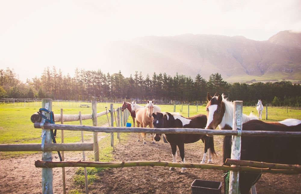 Clouds End Farm