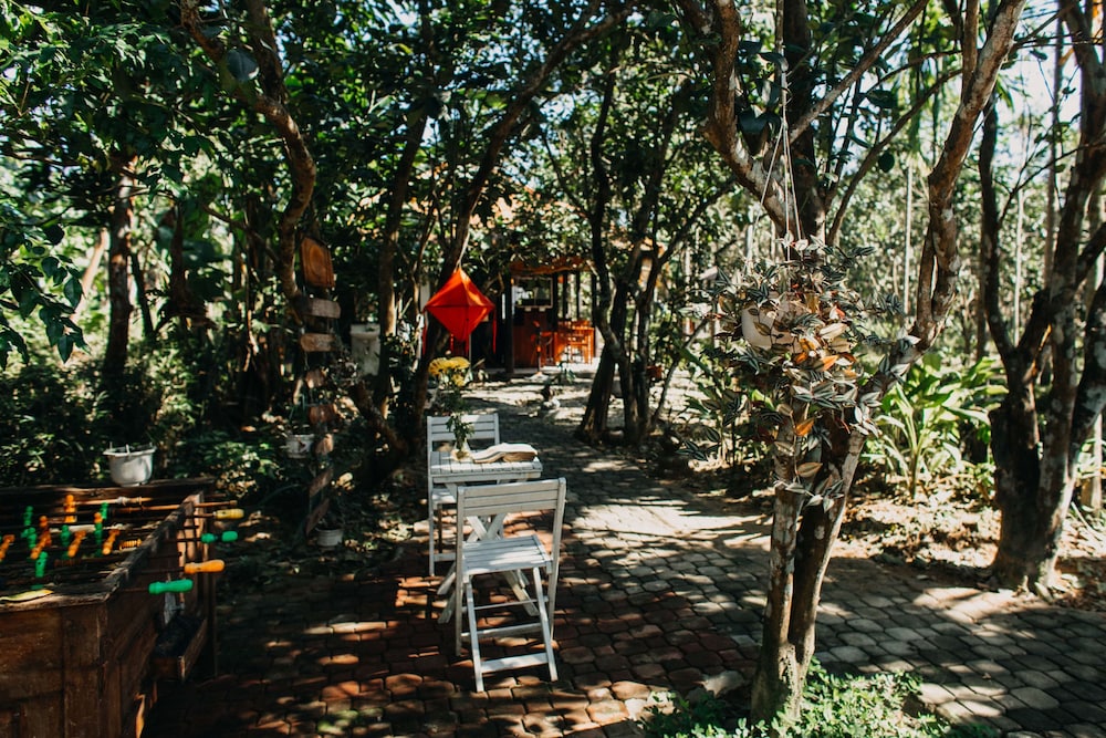 Thuy Bieu Homestay