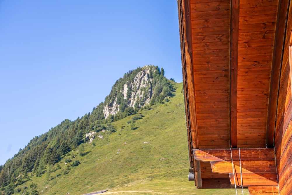 Chalet Collini