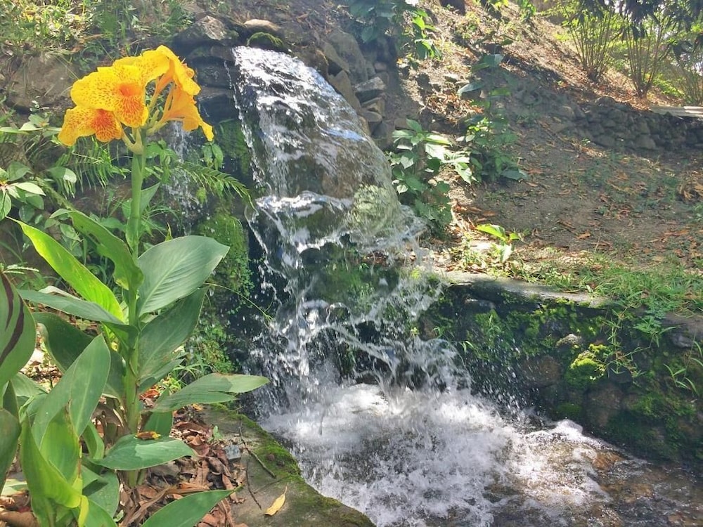 El Mangal