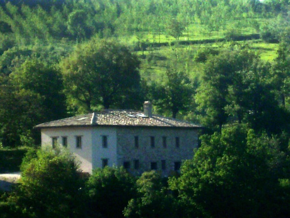 Photo 11