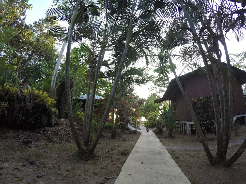 Photo 11