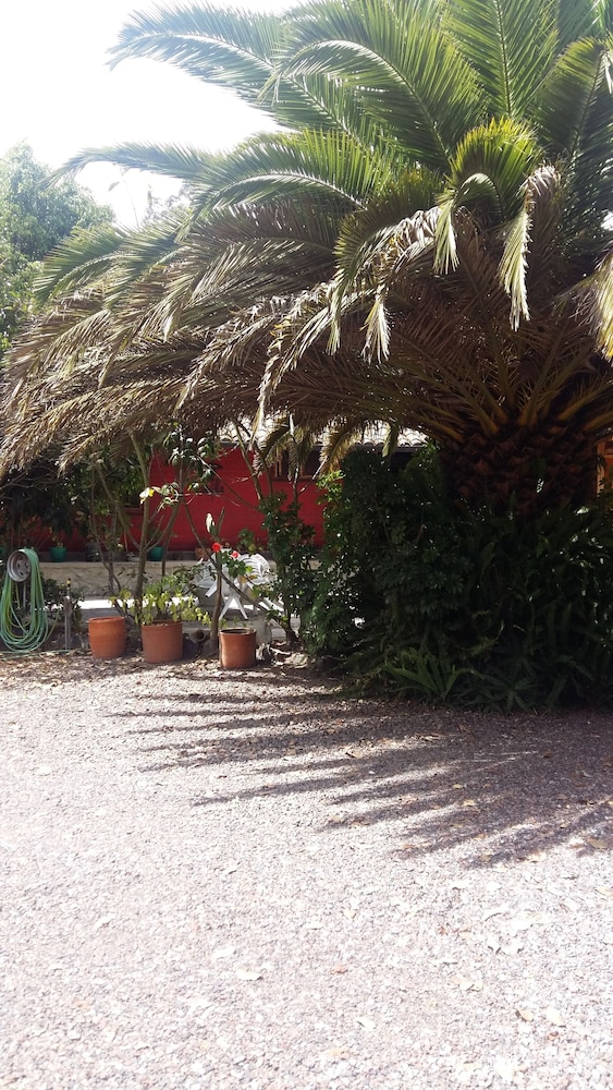 Arie s Cabin