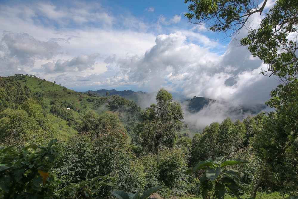 Nkuringo Bwindi Gorilla Lodge