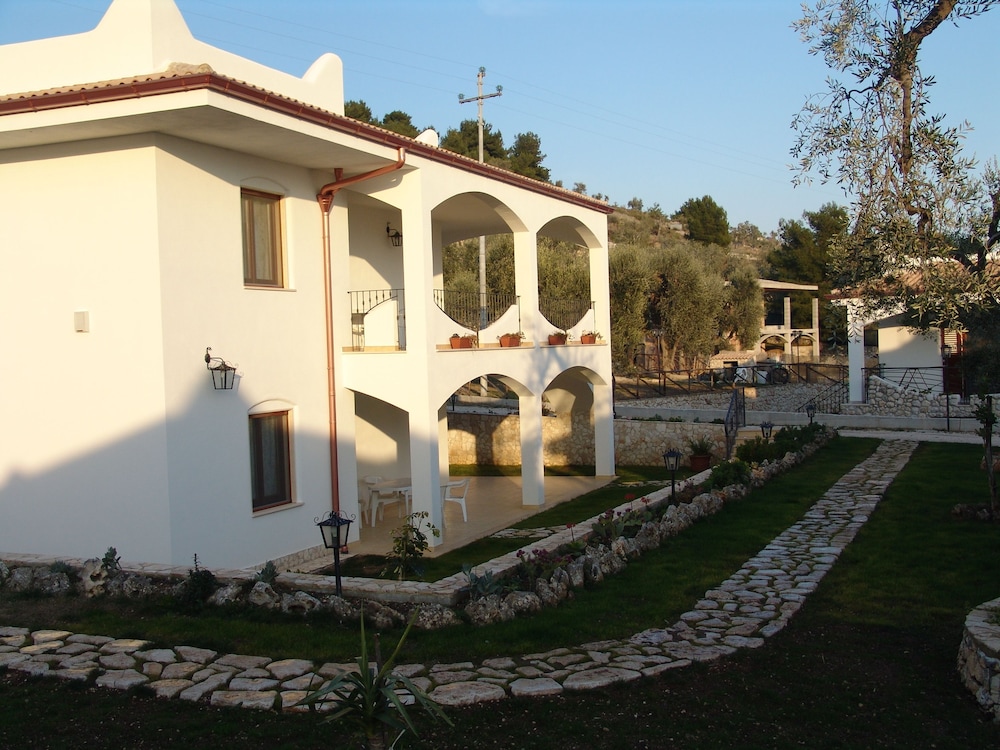 Photo 41