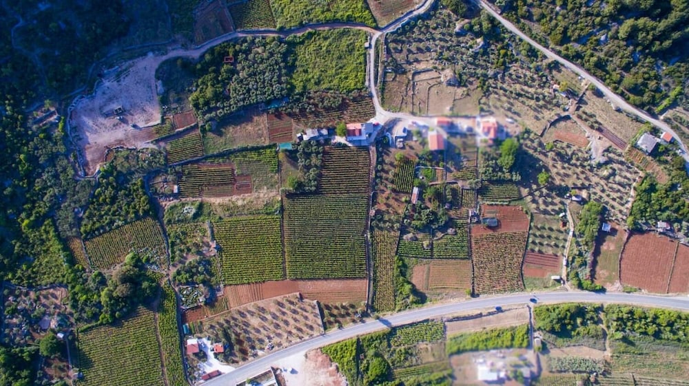 Filip - Vineyard and Large Terrace - SA1 Žuti view 2