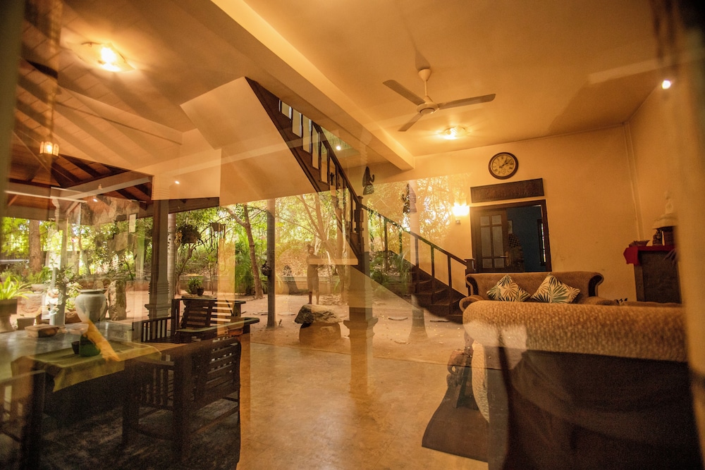 Evergreen Dambulla