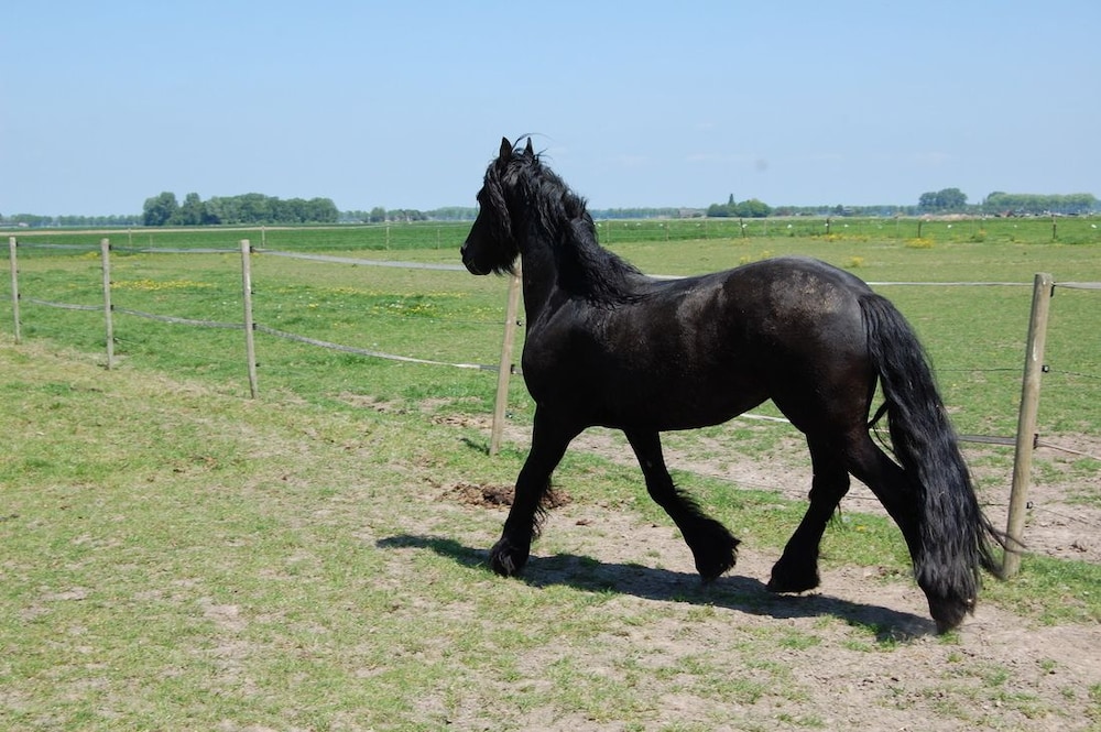 B&B Kasteelhoeve-Dussen