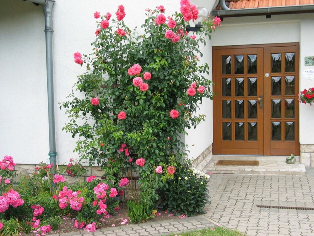 Rose Ambience Modern Retreat