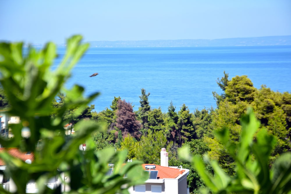 Seaview Studios