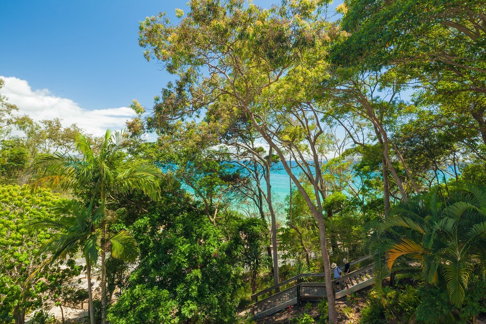 Little Cove Court
